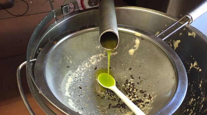 Pakya - The Little Olive Farm