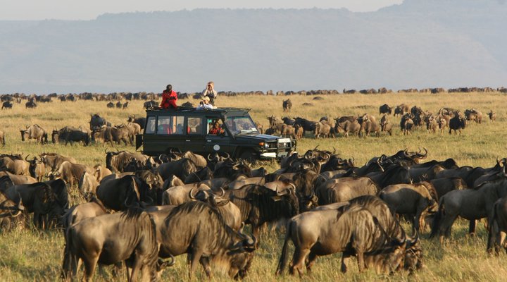 Rekero Camp