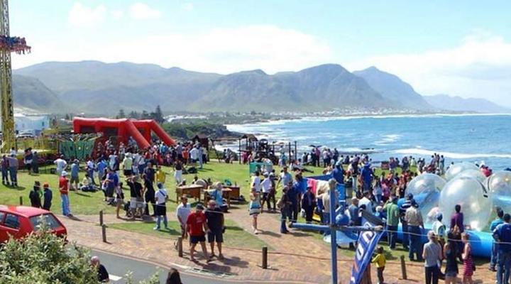 1 Day Whale & Wine Adventure