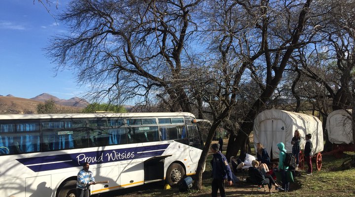 Clarens Ox-wagon Camp