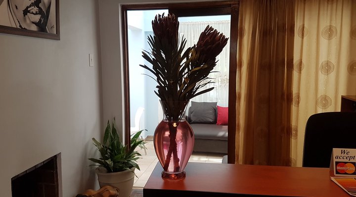 Nyati Bed and Breakfast - Bryanston