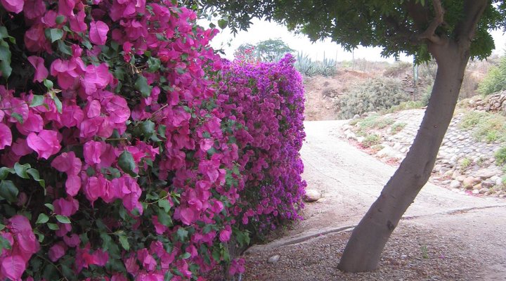 Welgevonden Guest House