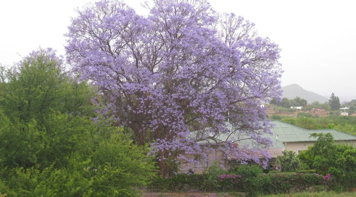 Welgevonden Guest House