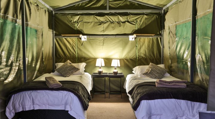 Tented Adventures Pilanesberg