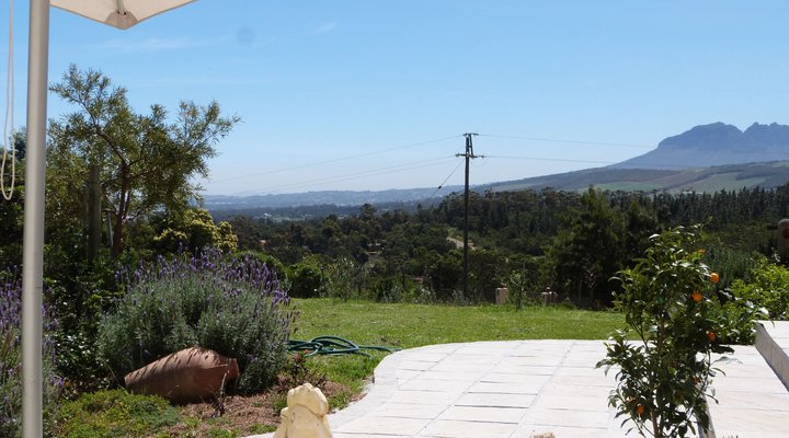 Pakya - The Little Olive Farm