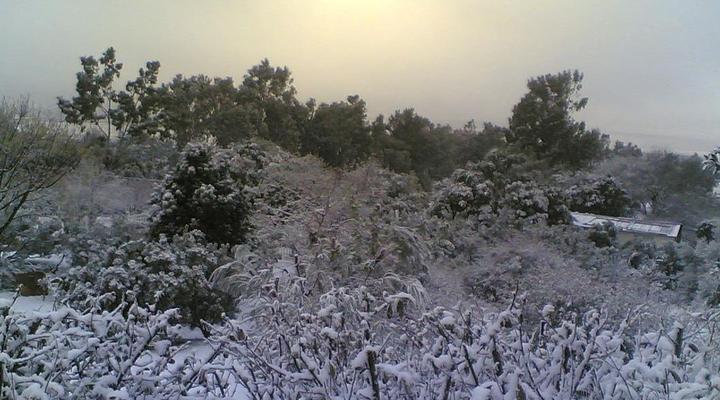 Berg-Plaas Guest House