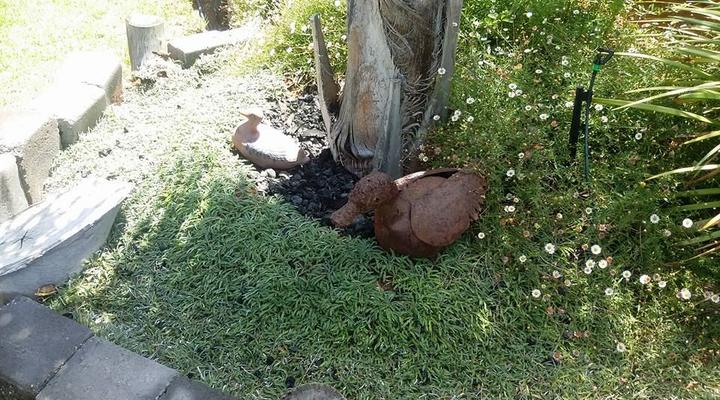 Art Guest Accommodation