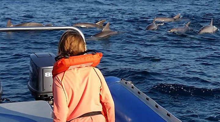 Ponta Beach Camp – Private Campsites