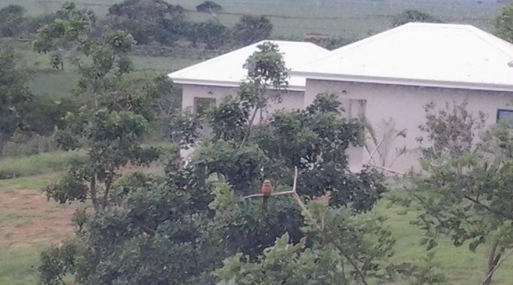 Fairview Cottages