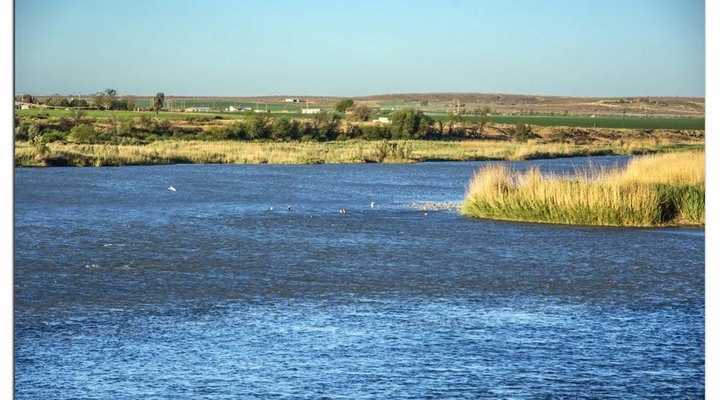 RRG - River Rapids Guestrooms