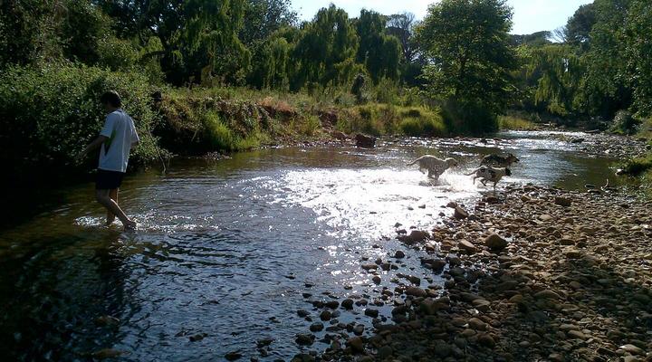 White Picket Fence Cottage on Immelman
