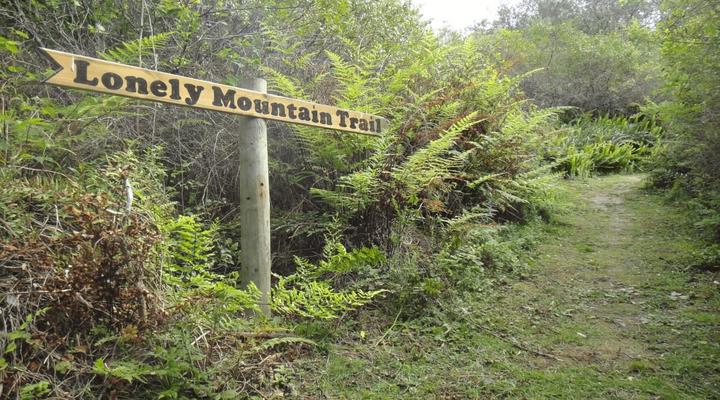 The Funny Farm Shire