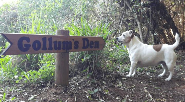 The Funny Farm Shire