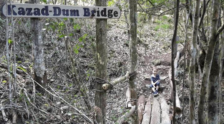 The Funny Farm Shire