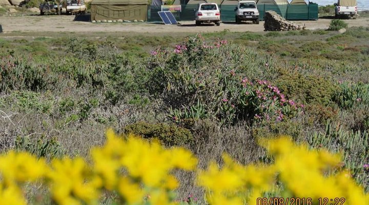 Namaqua Silver Sands