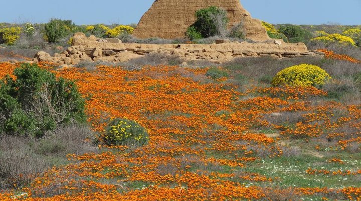 Namaqua Silver Sands