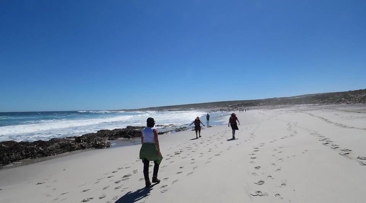 Namaqua Silver Sands