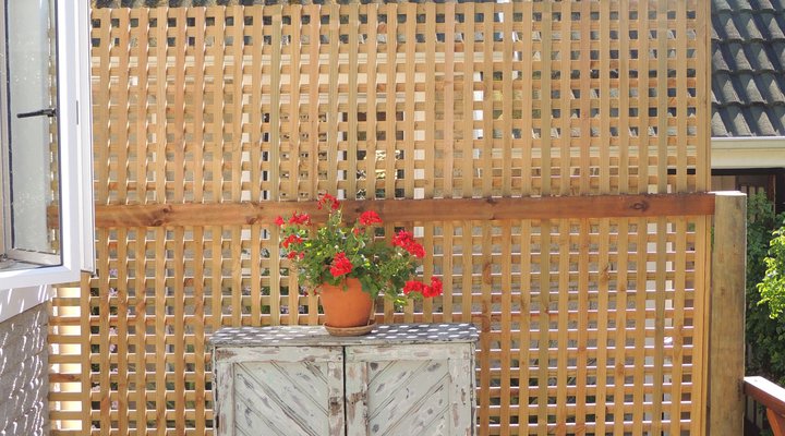 Camu-Camu Bed and Breakfast