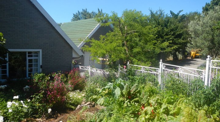 Camu-Camu Bed and Breakfast