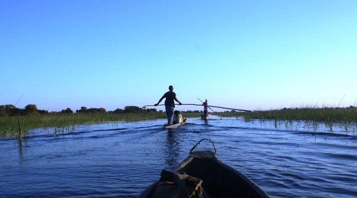 Hippo Island Okavango Delta