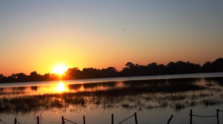 Hippo Island Okavango Delta