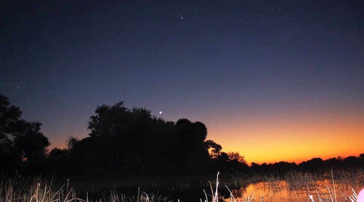 Hippo Island Okavango Delta