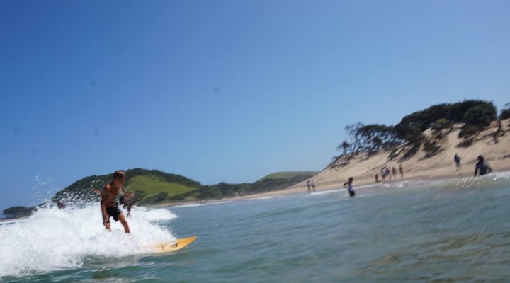 Friends Wild Coast Backpackers