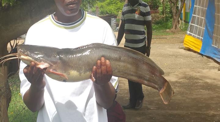 Elmolo Crocodile Park and Lodge