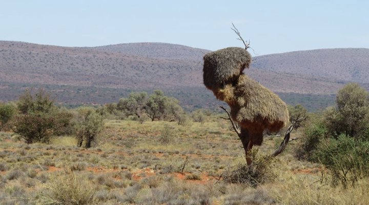 Holkrans Guest Lodge