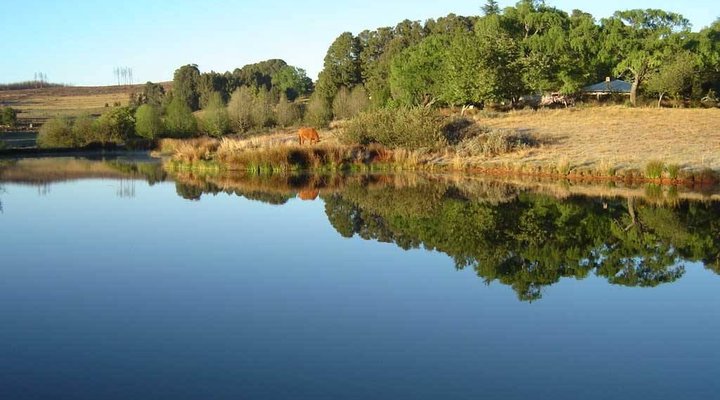 Santa Estate