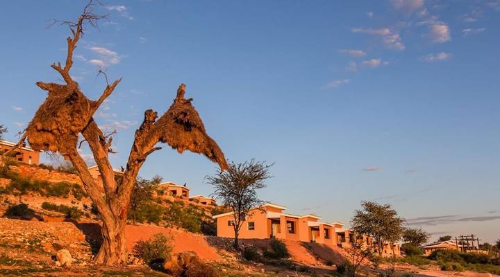 Kgalagadi Lodge