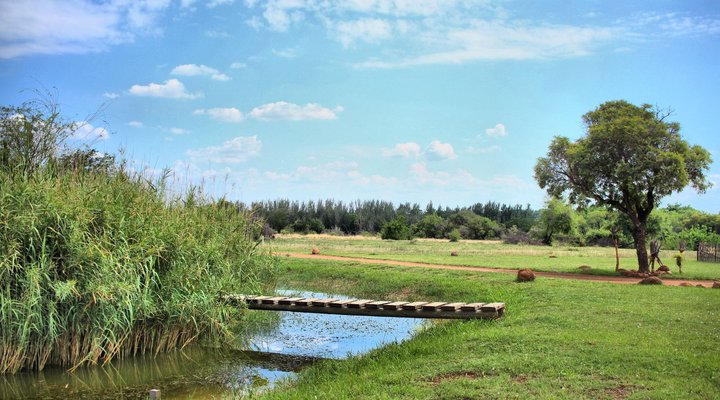 De Kleine Serengeti Game Lodge