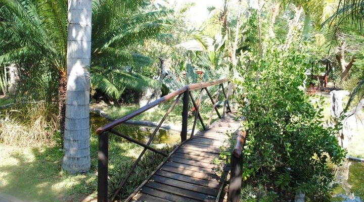 4 Day Kruger Experience Lodge-Treehouse