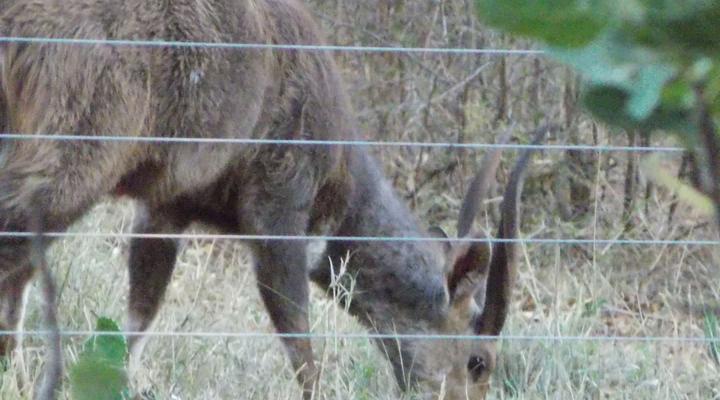 The Stables Country Lodge