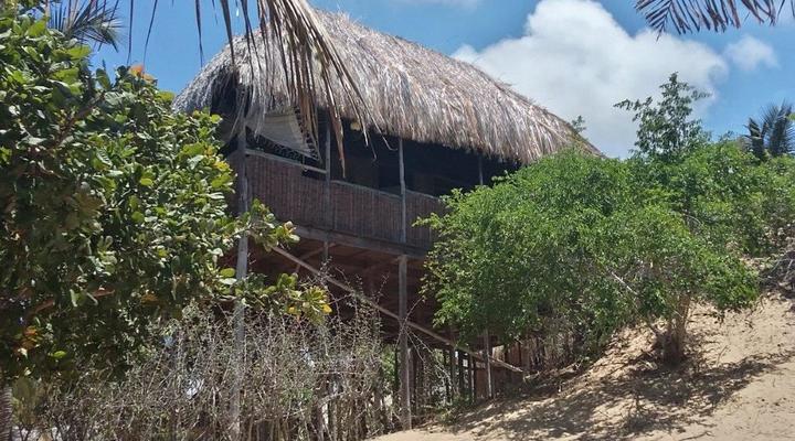 Nao Faz Mal - The Nut Hut