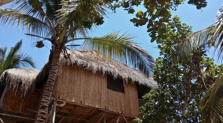 Nao Faz Mal - The Nut Hut