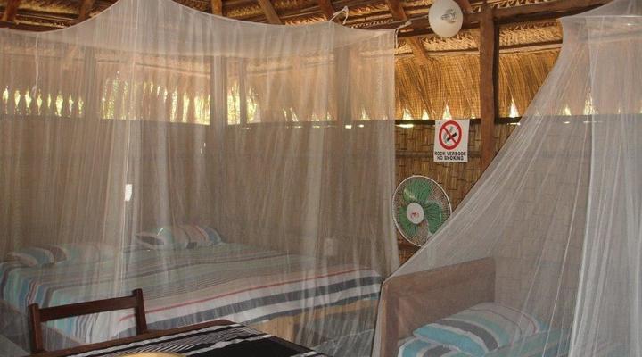 Nao Faz Mal - Fisherman's