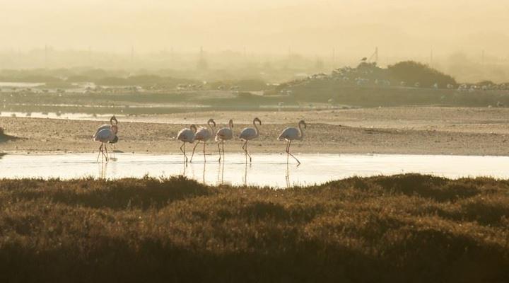Rooisee Beach Cottage