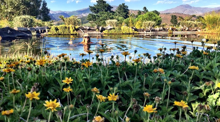 Artemis Barn Cottages