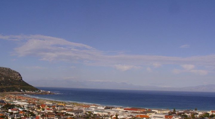 The View