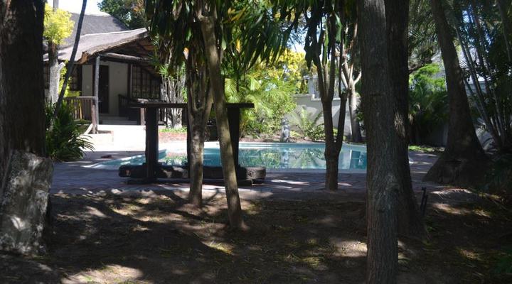 Cycad Lodge