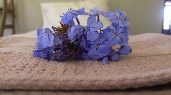 The Riverstone Luxury Country House