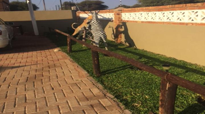 Overflow Guest House