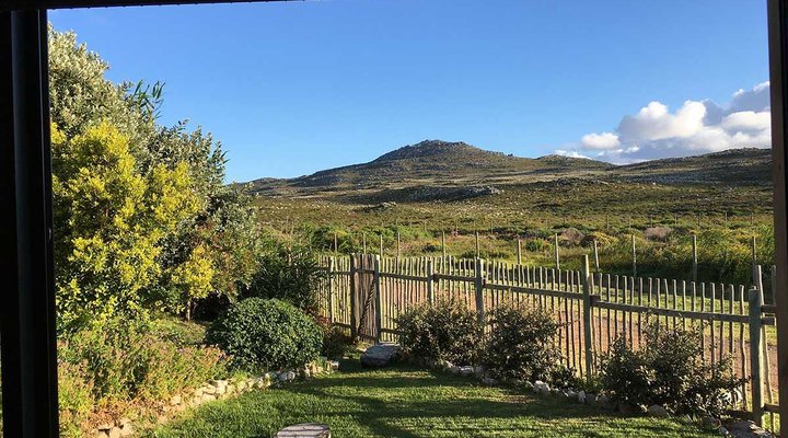 Cape Point Studio