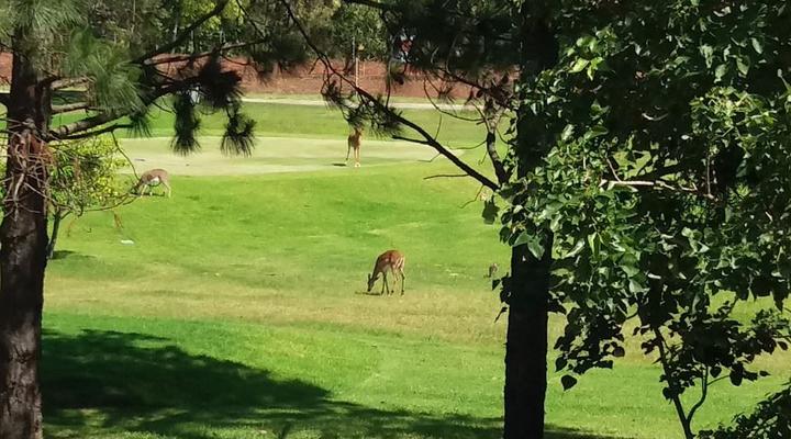 Private Home For Holiday Rental