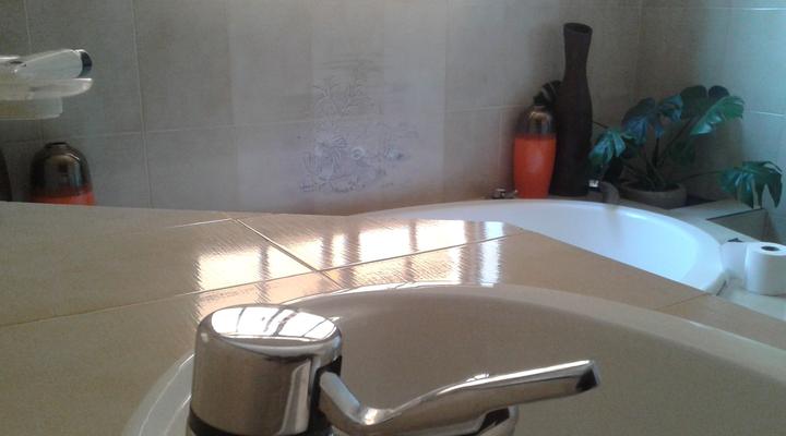 Inca-Rose Guest House