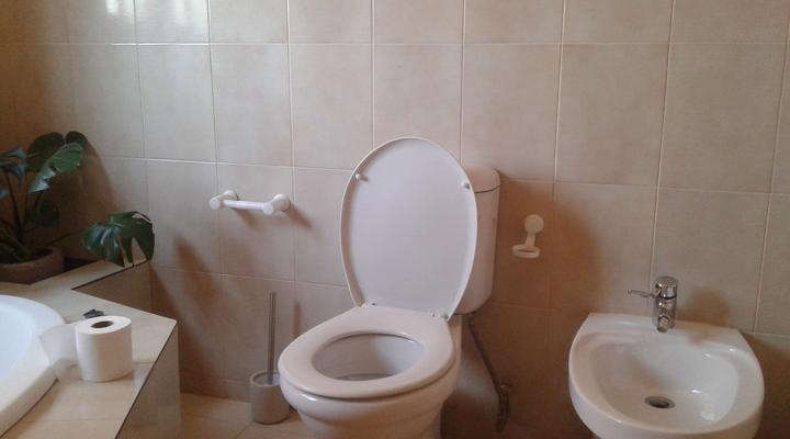 Inca-Rose Guest House