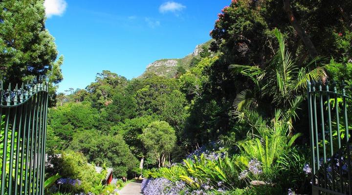 Constantia River Cottage