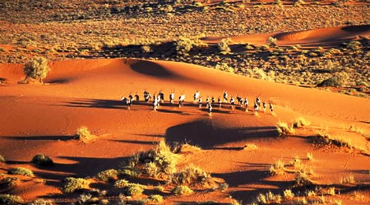 Molopo Kalahari Lodge