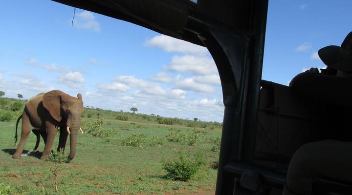 Kruger Park Safari from Southern to Northern Kruger for 6 Nights